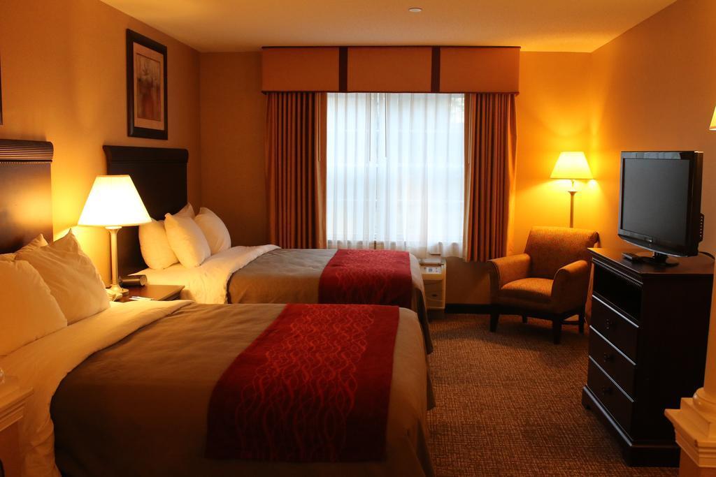 Comfort Inn & Suites Scarborough-Portland Luaran gambar